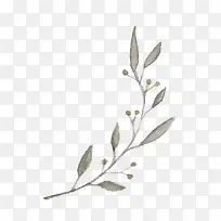 ˮī��֦-������