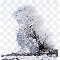 冬天树枝装饰展板-空若网 冬天树枝装饰展板-空若网