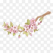 �ֻ���֦-������