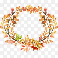 植物-空若网 植物-空若网