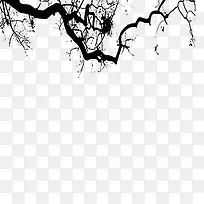 ��֦-������