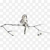 ˮīÊ÷֦СÄñ-¿ÕÈôÍø ˮīÊ÷֦СÄñ-¿ÕÈôÍø