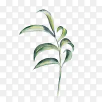 水墨水彩绿色树枝-空若网 水墨水彩绿色树枝-空若网