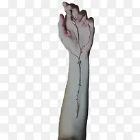 手心的刺-空若网 手心的刺-空若网