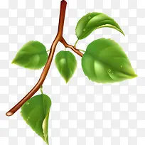 绿色卡通树枝-空若网 绿色卡通树枝-空若网
