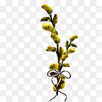 桃枝-空若网 桃枝-空若网