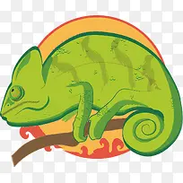 ��֦�ϵ�����-������