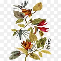 卡通-空若网 卡通-空若网