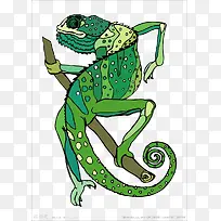 ÂÌÉ«ÊÖ»æòáòæ-¿ÕÈôÍø ÂÌÉ«ÊÖ»æòáòæ-¿ÕÈôÍø