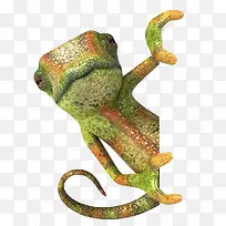 ����-������