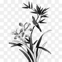 ˮī»-¿ÕÈôÍø ˮī»-¿ÕÈôÍø