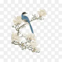 Ϳѻº£±¨Éè¼ÆÊ÷Ö¦»¨¶äÄñ-¿ÕÈôÍø Ϳѻº£±¨Éè¼ÆÊ÷Ö¦»¨¶äÄñ-¿ÕÈôÍø