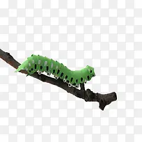 简约毛毛虫树枝-空若网 简约毛毛虫树枝-空若网