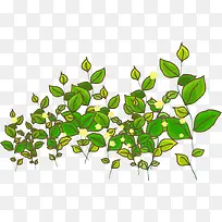 卡通树叶-空若网 卡通树叶-空若网