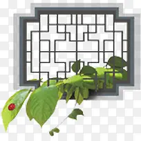 �������֦-������