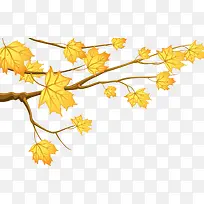 ��ͨ�����ɫҶ����֦-������