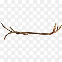 枯枝-空若网 枯枝-空若网