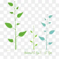 枝叶-空若网 枝叶-空若网