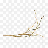 ��֦-������