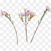 矢量手绘树枝-空若网 矢量手绘树枝-空若网