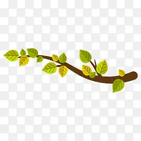 ��ͨ��֦-������