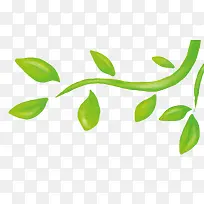 绿色叶子-空若网 绿色叶子-空若网