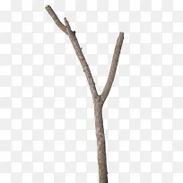 ��֦-������