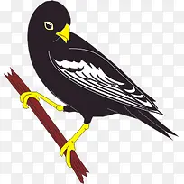 卡通-空若网 卡通-空若网