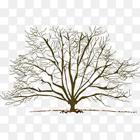 ��ͨ������֦�廭-������