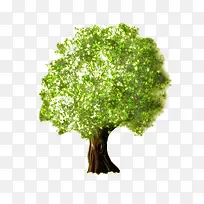 卡通树枝-空若网 卡通树枝-空若网