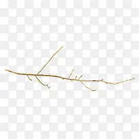 棕色枯枝-空若网 棕色枯枝-空若网