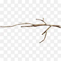 ��ɫ��֦��֦-������