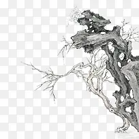 ��֦-������