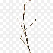 ��֦-������