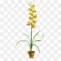 树枝-空若网 树枝-空若网