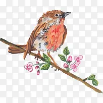 矢量树枝小鸟-空若网 矢量树枝小鸟-空若网