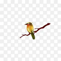 小鸟-空若网 小鸟-空若网