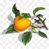 ����-������