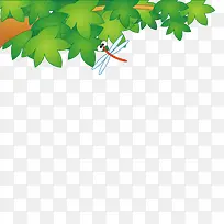 ��ͨ��֦Ҷ-������