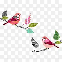 树枝上的小鸟-空若网 树枝上的小鸟-空若网