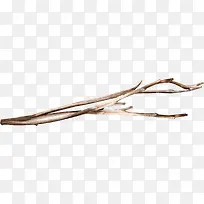 ��ɫ��֦-������