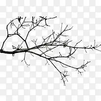 漂浮树枝-空若网 漂浮树枝-空若网