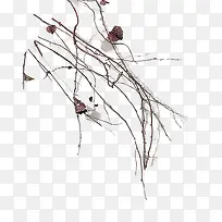 枯枝-空若网 枯枝-空若网
