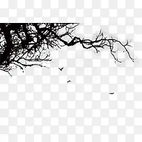 ��֦-������