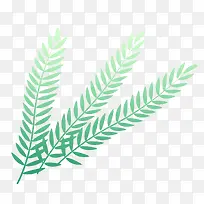 卡通树叶树枝-空若网 卡通树叶树枝-空若网