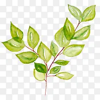 卡通树枝-空若网 卡通树枝-空若网