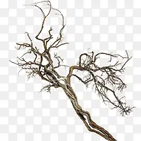 树枝-空若网 树枝-空若网