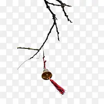 Ê÷Ö¦ÉϵÄÁåîõ-¿ÕÈôÍø Ê÷Ö¦ÉϵÄÁåîõ-¿ÕÈôÍø