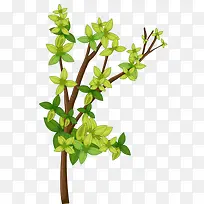 绿叶树枝-空若网 绿叶树枝-空若网