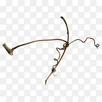 ��֦-������